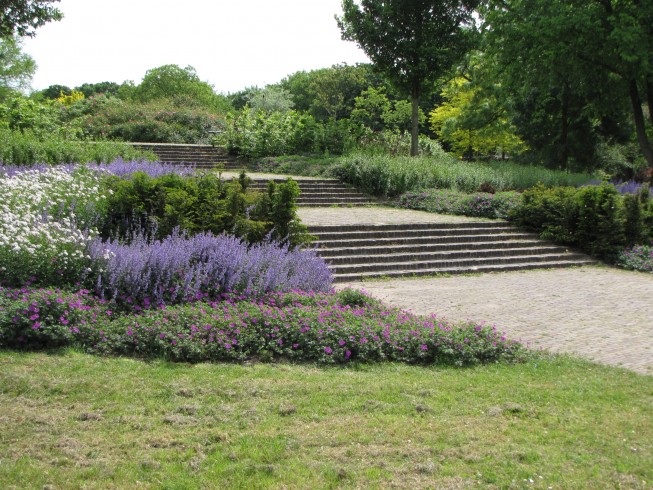 Park the bog myrtle