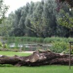 _medium_Transwijk_Utrecht_2014-08-21_1