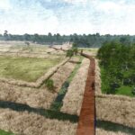 14. Boardwalk birdview LW
