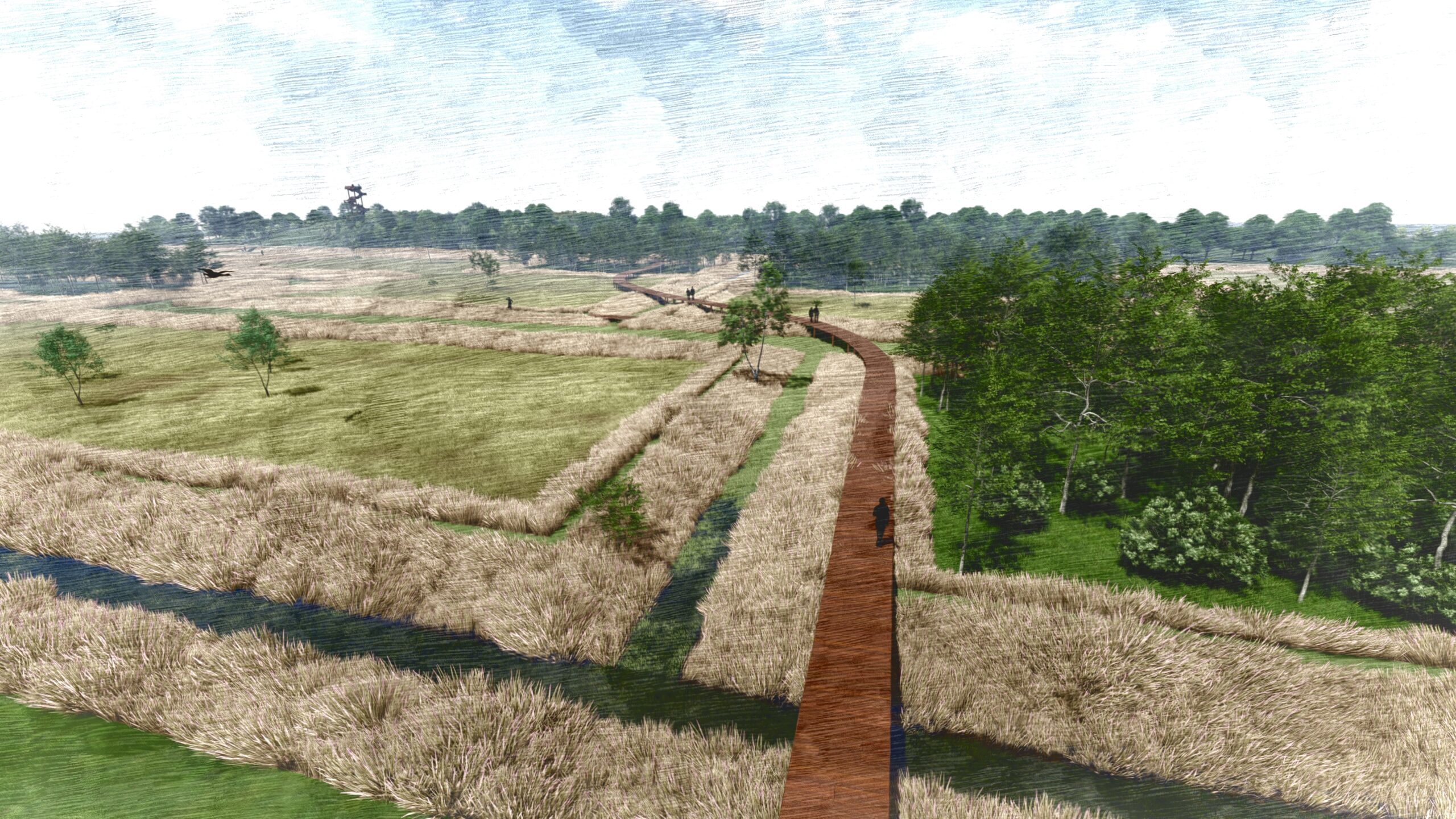 14. Boardwalk birdview LW