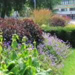 Keizer Karelplein Nijmegen 2016-07-22 AS (25)