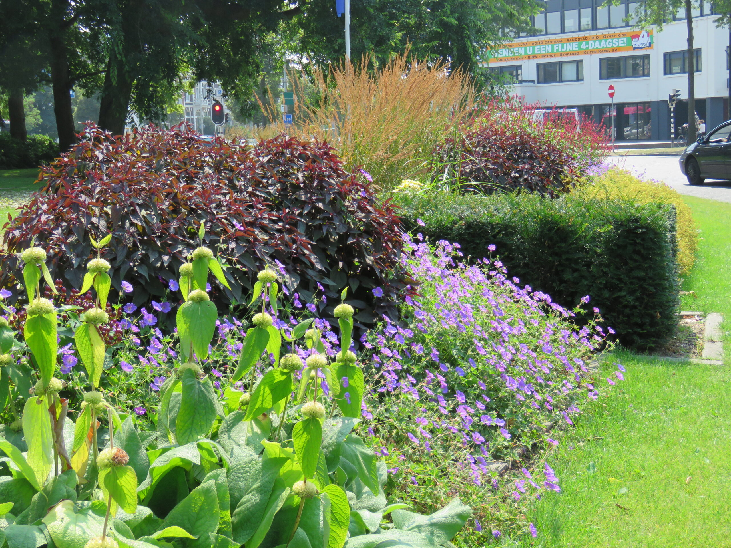Keizer Karelplein Nijmegen 2016-07-22 AS (25)