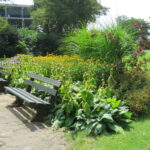 Weezenhof Nijmegen 2016-07-22 AS (7)
