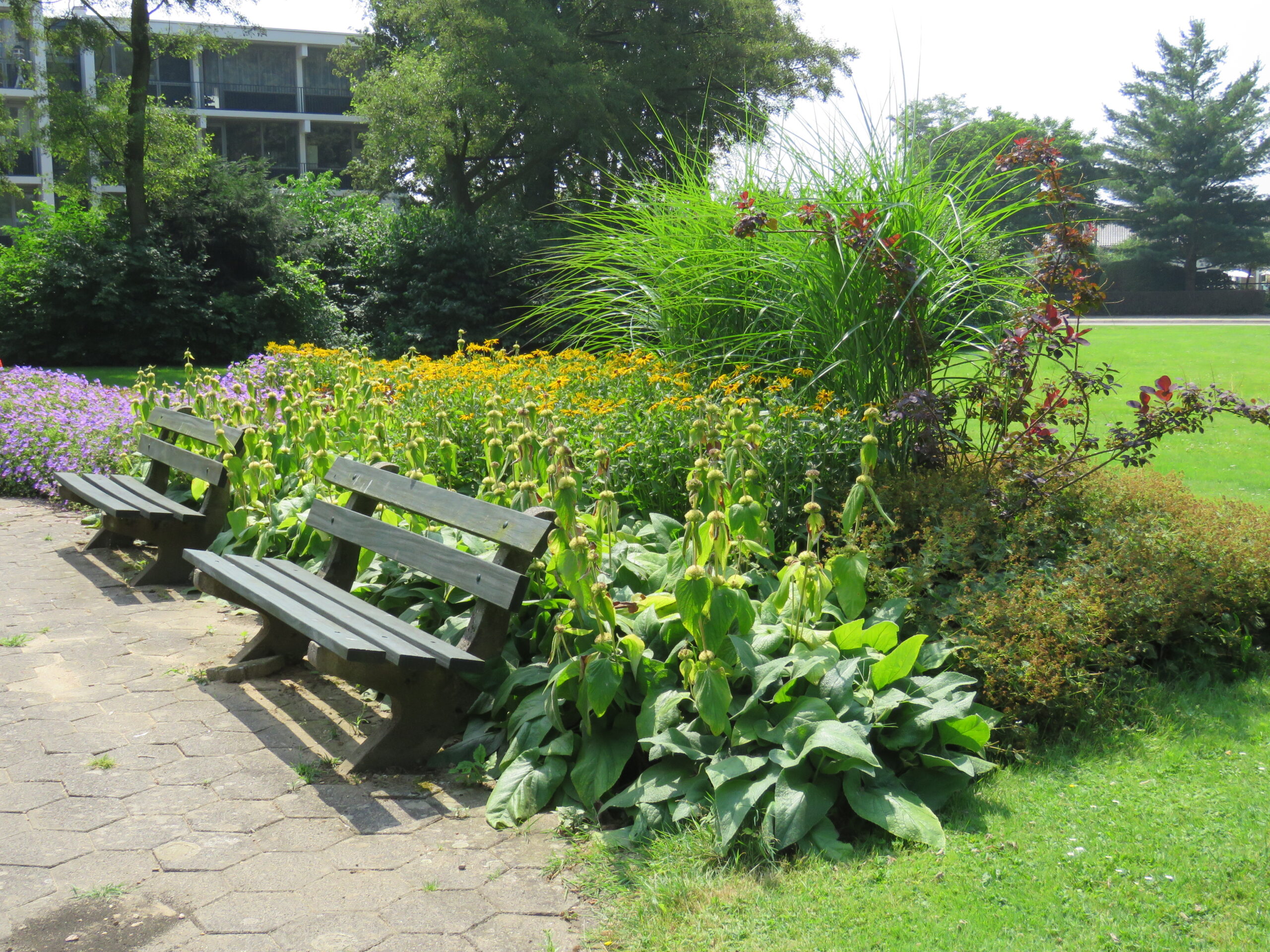 Weezenhof Nijmegen 2016-07-22 AS (7)